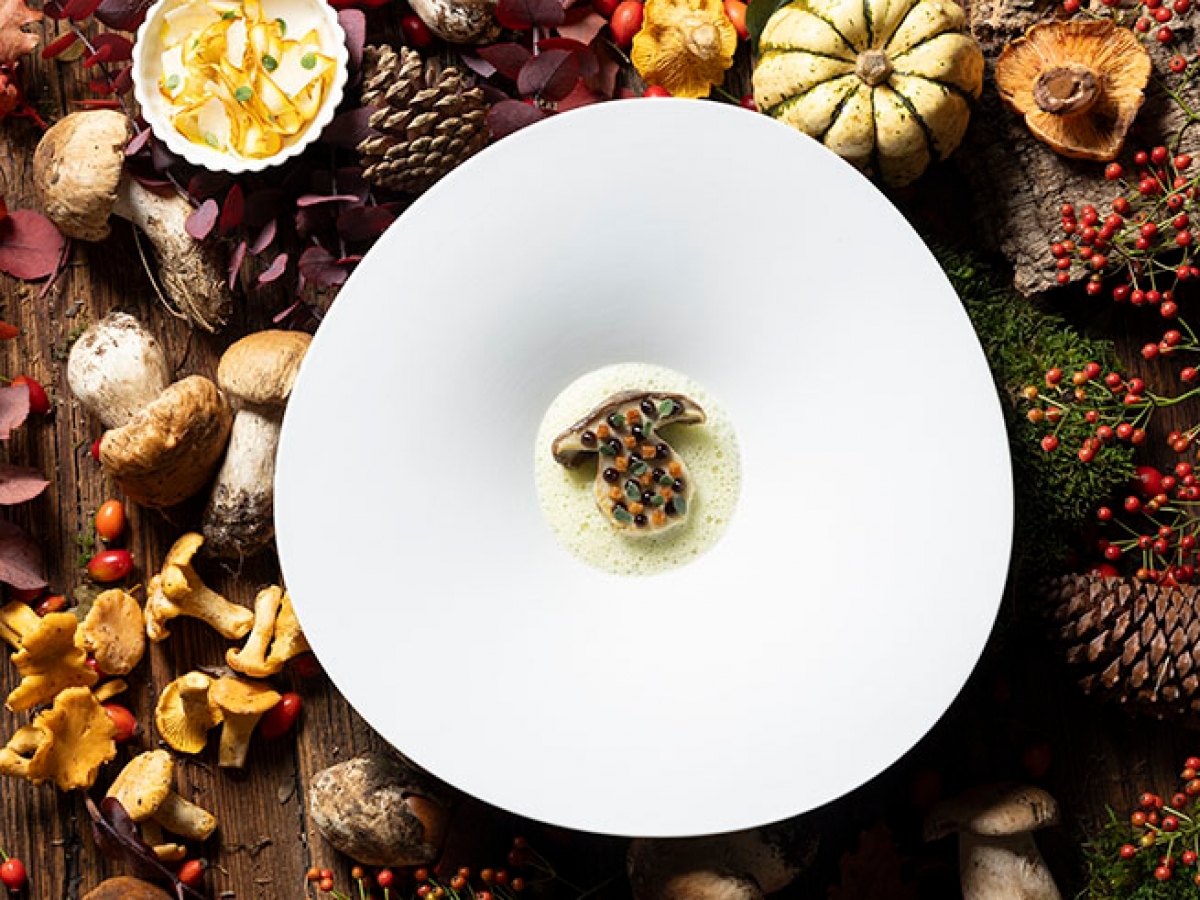 2024-10 - Menu Forêt_Cépès, champignons et marjolaine_LR ©Matteo Carassale (8)