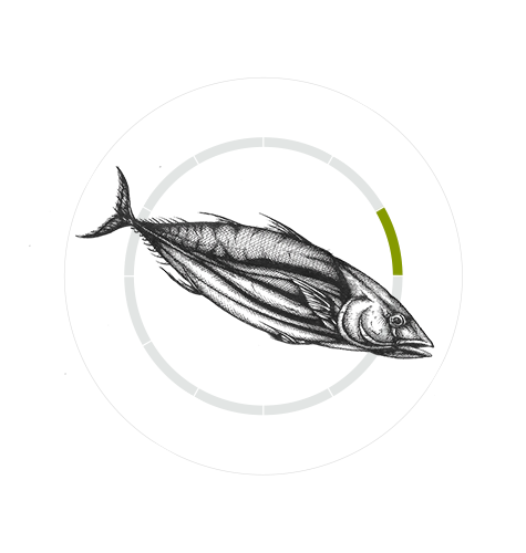 Bonito